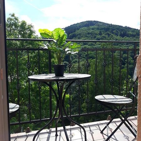 Apartmany Marie Яхимов Екстериор снимка